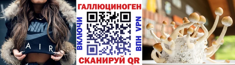 даркнет наркотические препараты  Георгиевск  Псилоцибиновые грибы Cubensis  наркота 