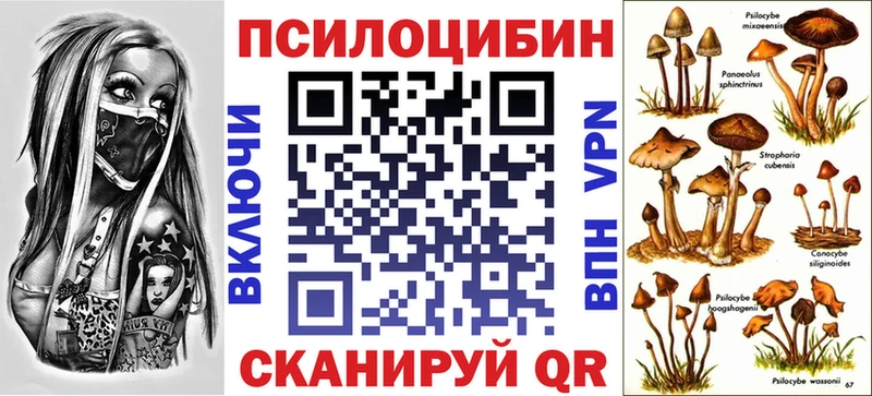 Галлюциногенные грибы Cubensis Георгиевск